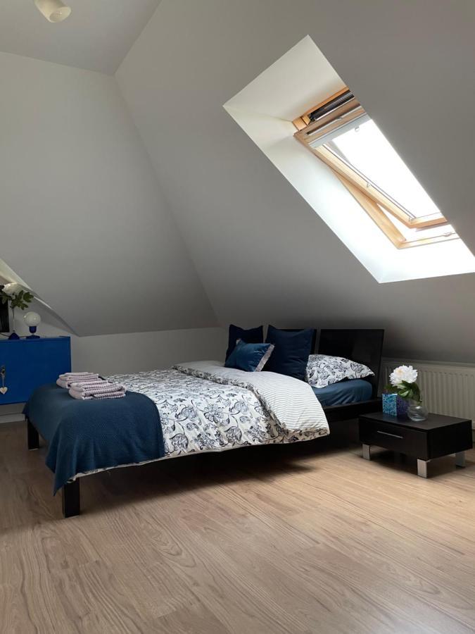 Apartamenty Zaczarowany Ogrod คาชิเมียร์ซ ดอลนี ภายนอก รูปภาพ