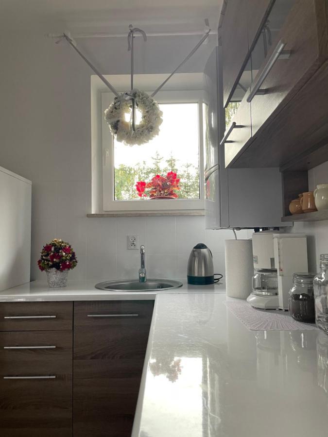 Apartamenty Zaczarowany Ogrod คาชิเมียร์ซ ดอลนี ภายนอก รูปภาพ